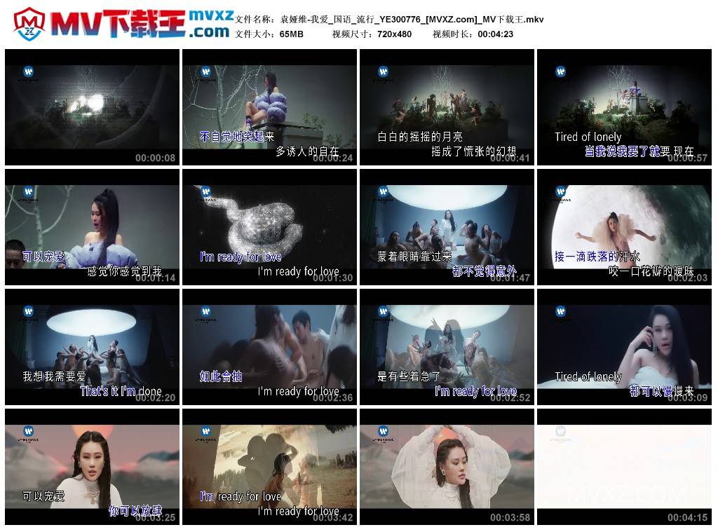 袁娅维-我爱_国语_流行_YE300776